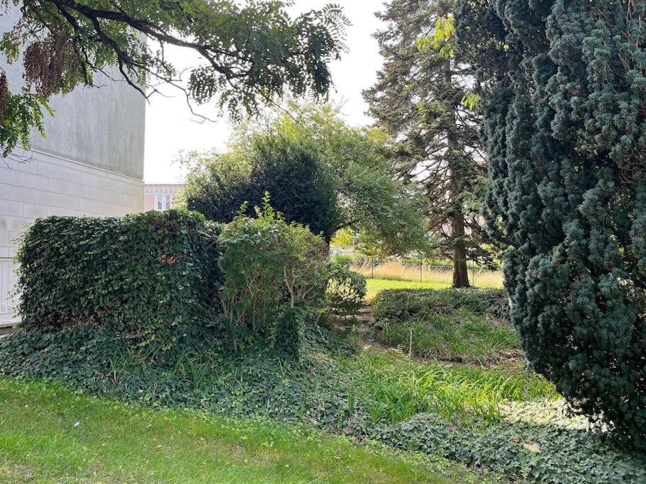 Gites Maisons De Champagnes Reims Exterior photo